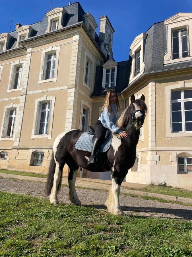Chateau De La Bouchatte Chambre Les Roses Chazemais Zewnętrze zdjęcie