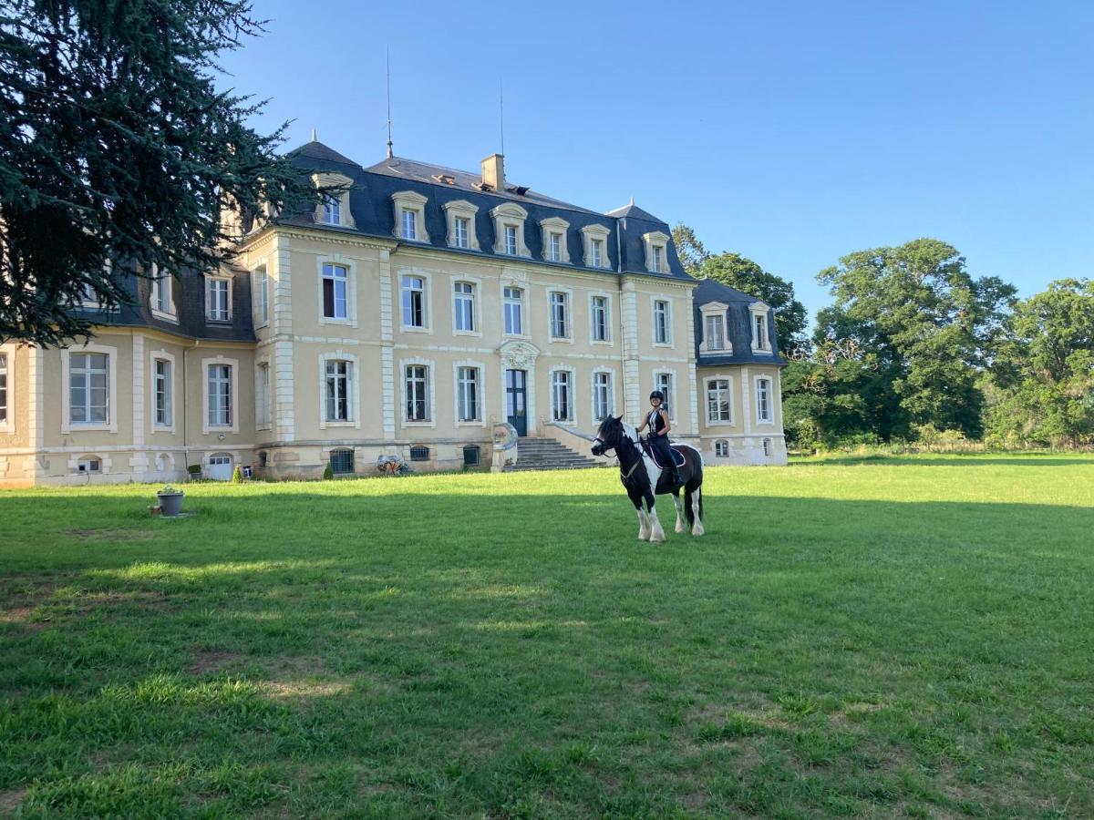 Chateau De La Bouchatte Chambre Les Roses Chazemais Zewnętrze zdjęcie